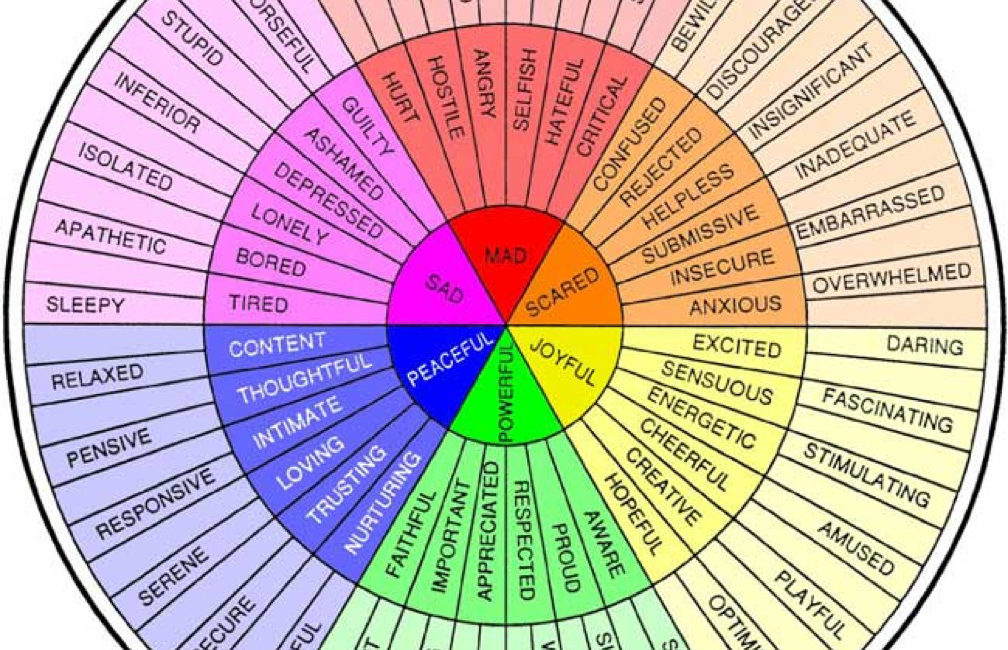 Feelings Wheel - Color