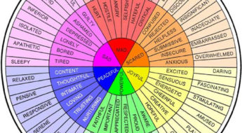 Feelings Wheel - Color