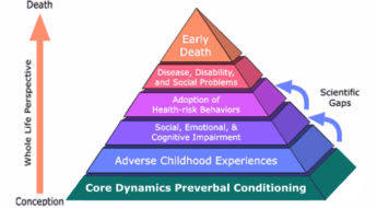 Children and Trauma