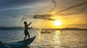 Casting Our Nets Wider