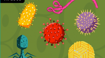 Coronavirus Video